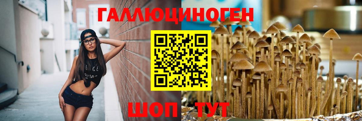 Галлюциногенные грибы ЛСД Кулебаки